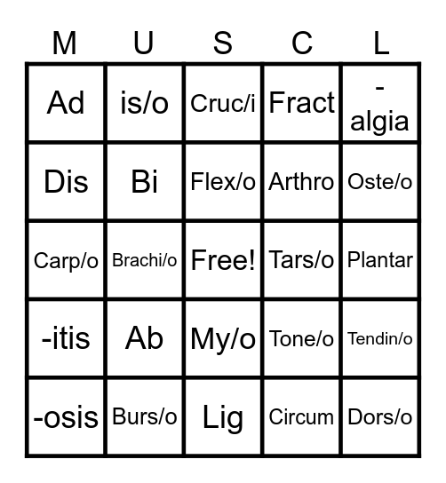 MUSCULOSKELETAL SYSTEM Bingo Card