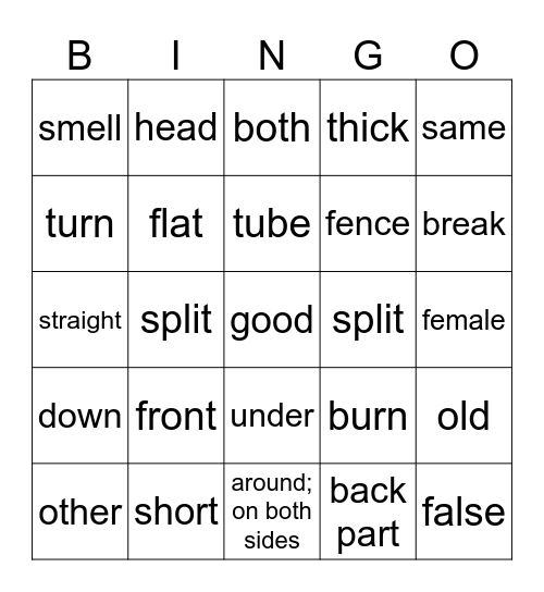 Med Terms Lesson 13 Bingo Card