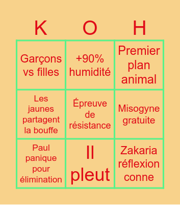 Koh Lanta avec copains Bingo Card
