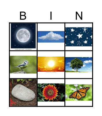 NATURE FLASHCARDS Bingo Card