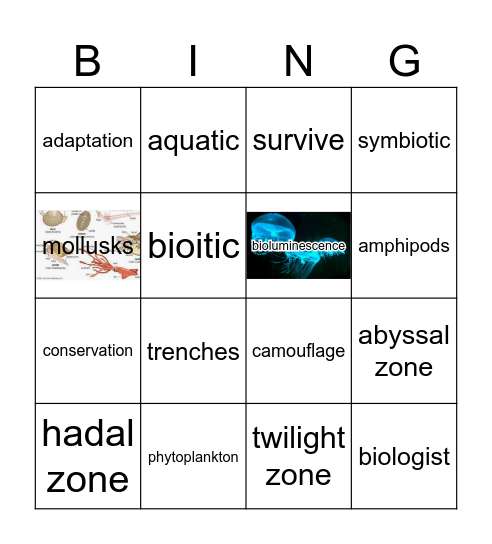 GR5 CKLA Oceans Bingo Card