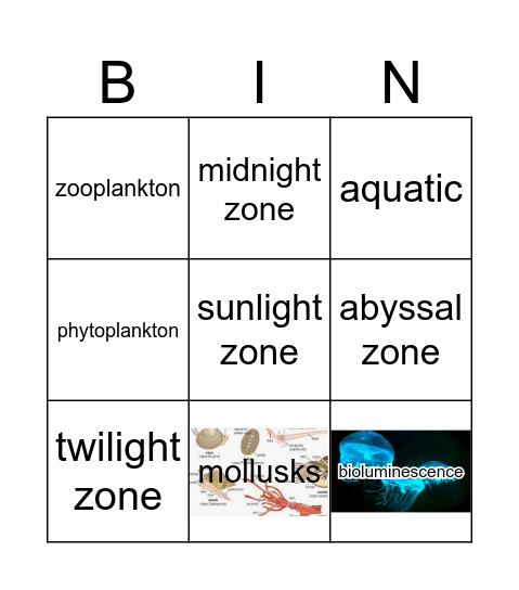 GR5 Oceans CKLA Bingo Card