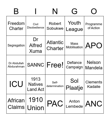 African Nationalism Bingo Card