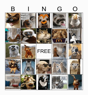 Funny Jokes Bingo Card