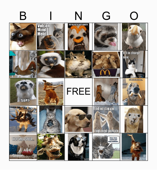 Funny Jokes Bingo Card