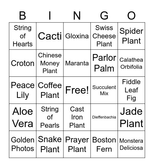 House Plants Bingo Card