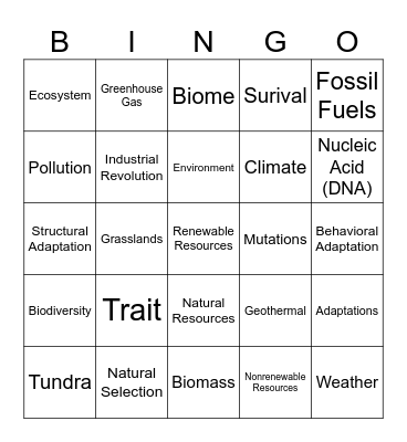 UNIT 8: CLIMATE CHANGES Bingo Card