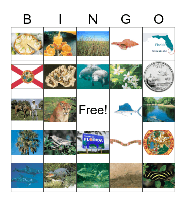 Florida State Symbols Bingo Card