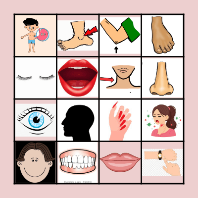 BODY PARTS Bingo Card