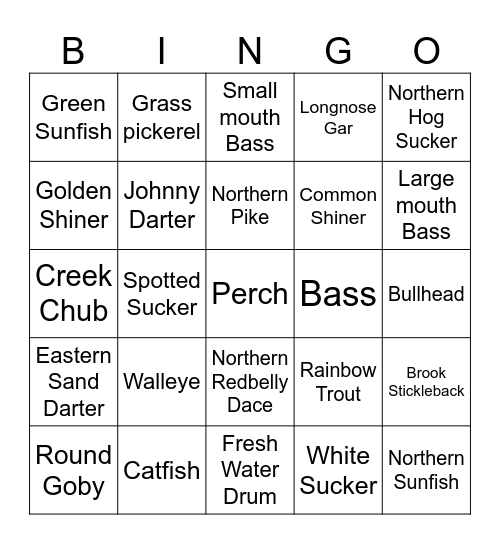 Catch, Learn, Bingo Card
