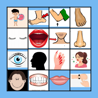 BODY PARTS Bingo Card