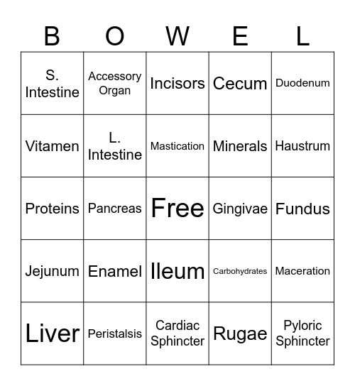 Bowel Binger Bingo Card