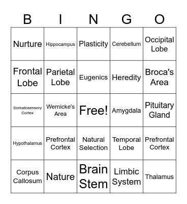 Heredity and the Brain Bingo Card