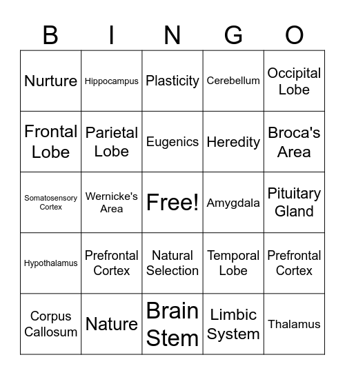 Heredity and the Brain Bingo Card