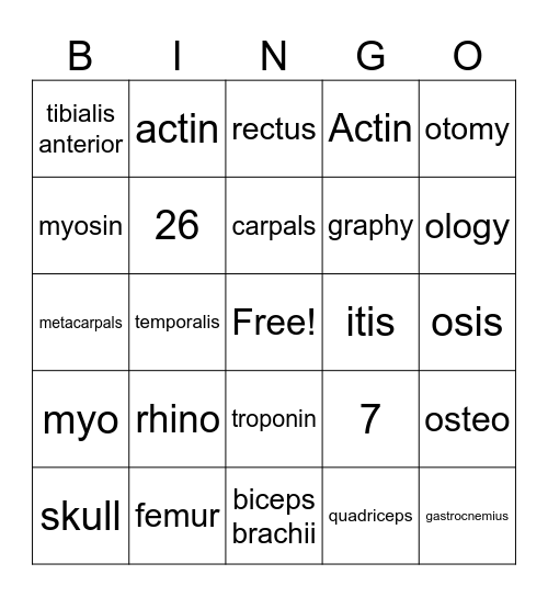 AHP-Medical Terminology 2 Bingo Card