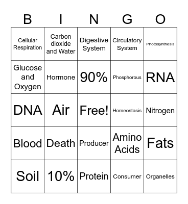 Food Web and Cycles Bingo Card
