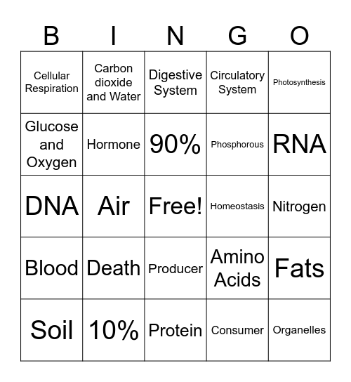 Food Web and Cycles Bingo Card