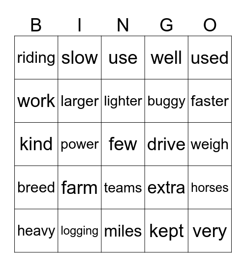 Horses Bingo Card