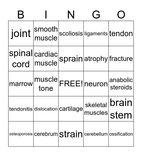 Movement and Coordination Bingo Card