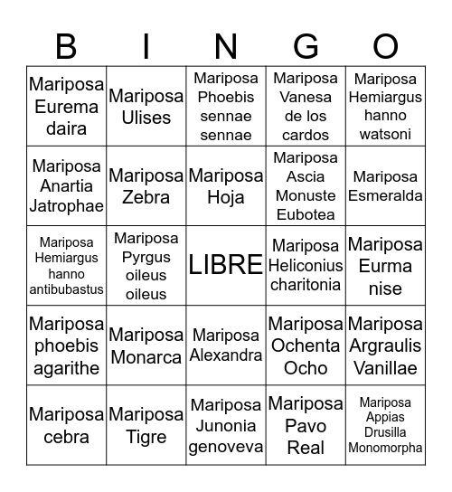 La Mariposa Bingo Card