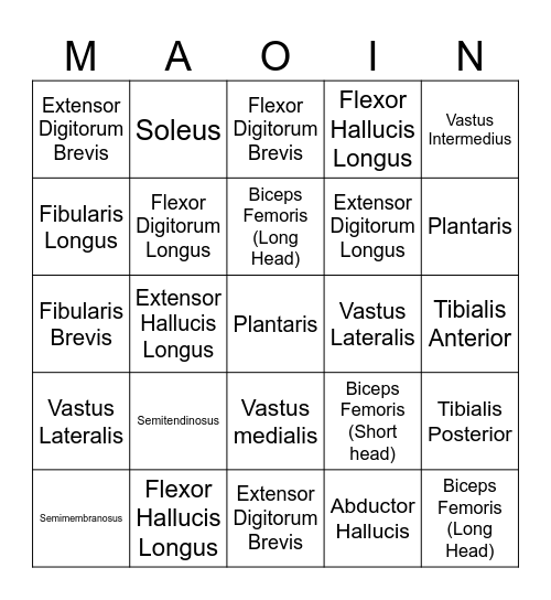 ATR 325 Palpation Bingo Card