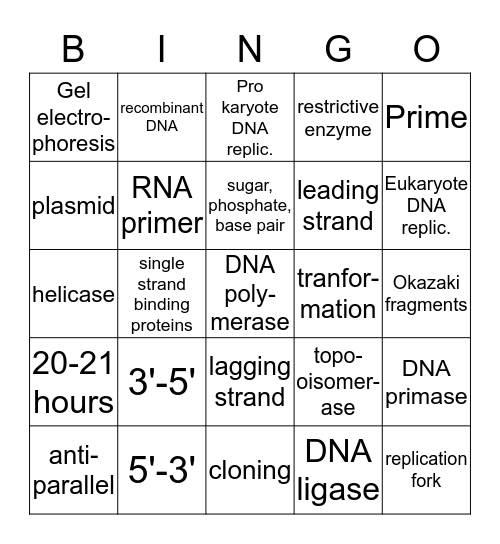 AP BIO  DNA REPLICATION Bingo Card