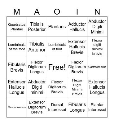 Anatomy Bingo Card