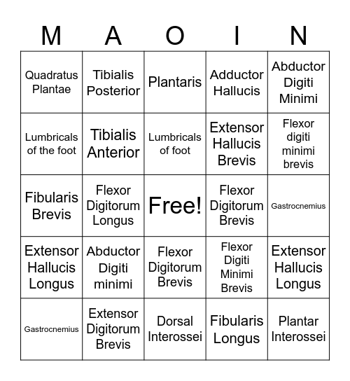 Anatomy Bingo Card