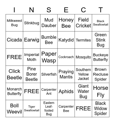 Bug Bingo Card