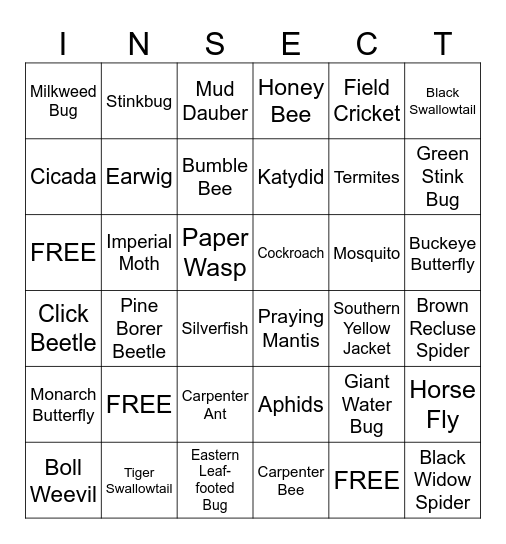 Bug Bingo Card