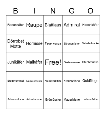 Insekten Bingo Card