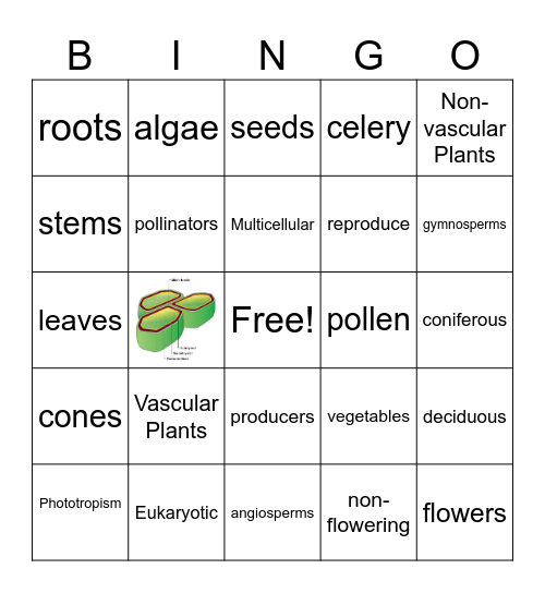 Plant Kingdom Bingo Card