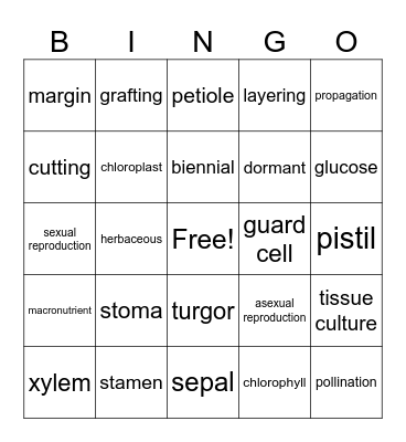 Plant Science Vocab Bingo Card