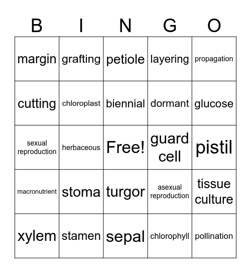 Plant Science Vocab Bingo Card