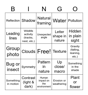 Science & Photography Bingo Card