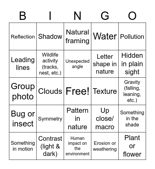 Science & Photography Bingo Card