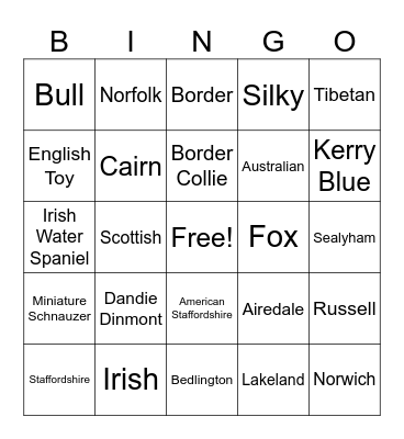Terriers Bingo Card
