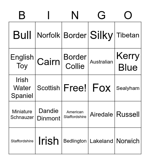 Terriers Bingo Card