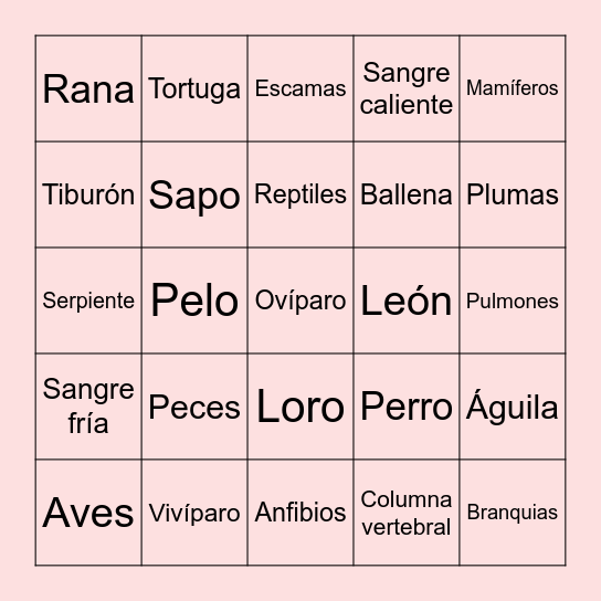 Animales vertebraos Bingo Card