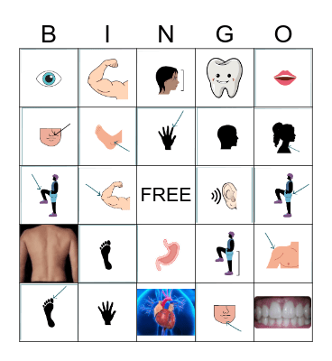 Parts of the Body Bingo Card
