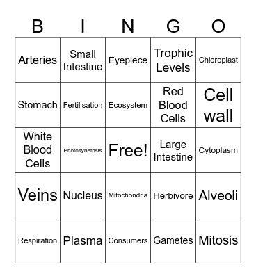 JC Biology Bingo Card