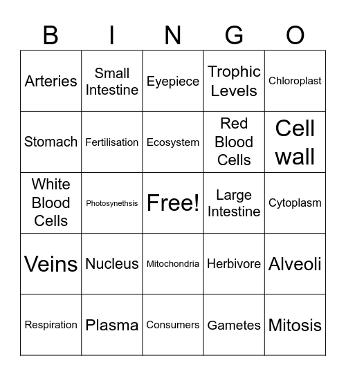 JC Biology Bingo Card