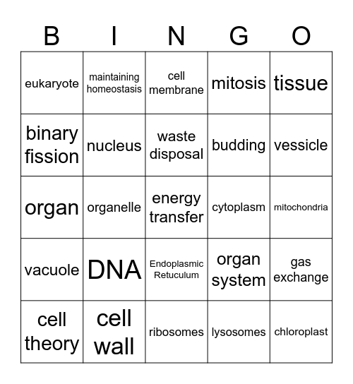 Cell Review Bingo Card