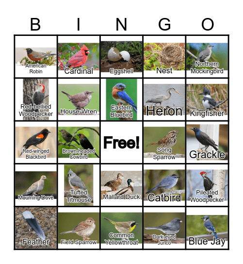 BIRDS Bingo Card