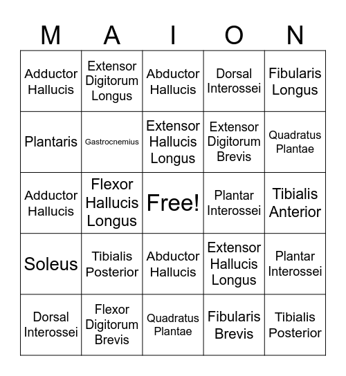 Leg and Foot Bingo Card