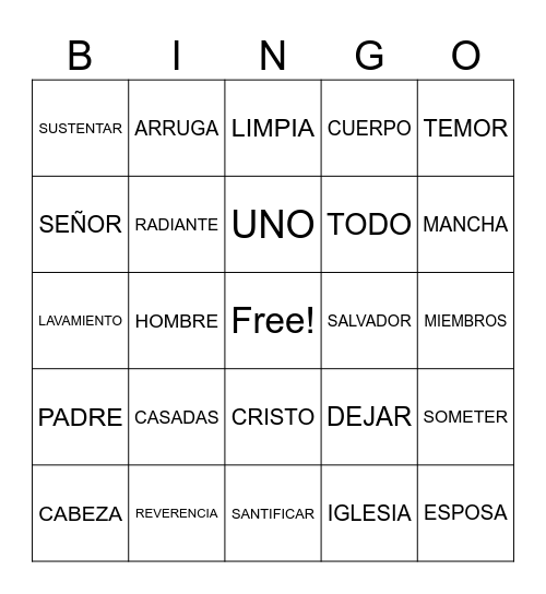 EL MATRIMONIO Bingo Card