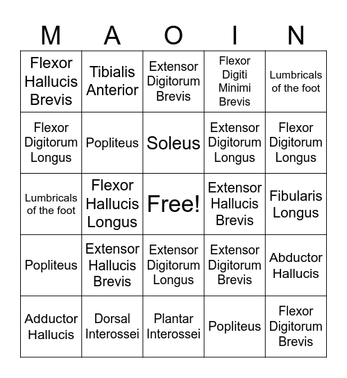 MAOIN BINGO Card