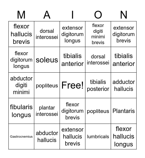 MAOIN Bingo Card