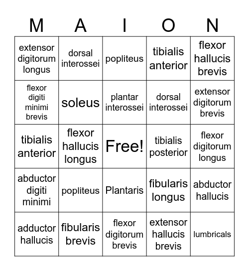 MAOIN Bingo Card