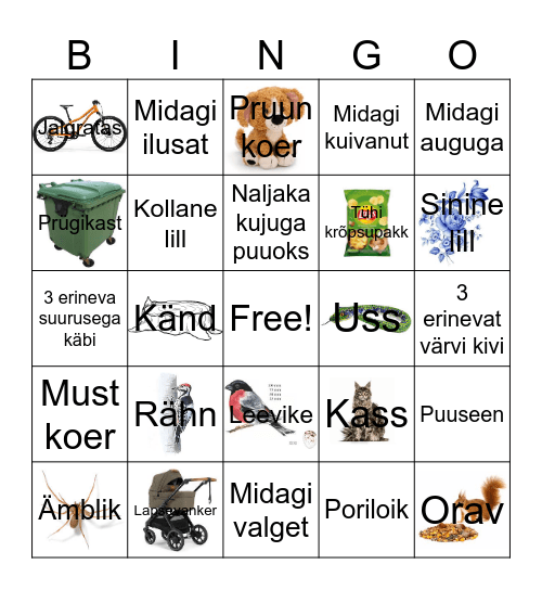 Metsa BINGO Card